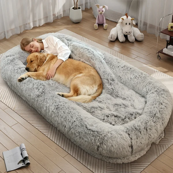 Orthopedic Human Dog Bed