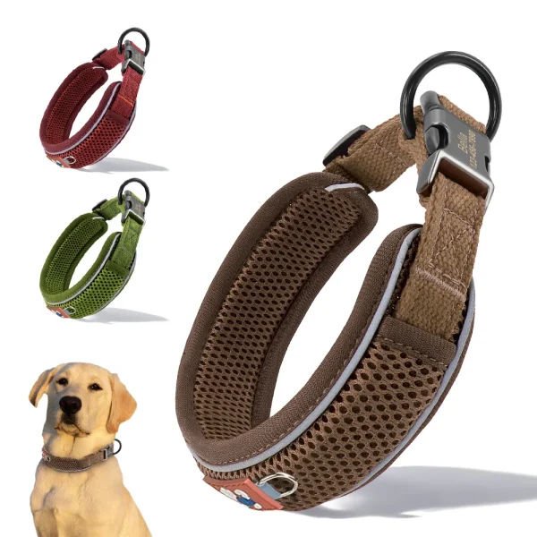 Personalized Mesh Dog Collar